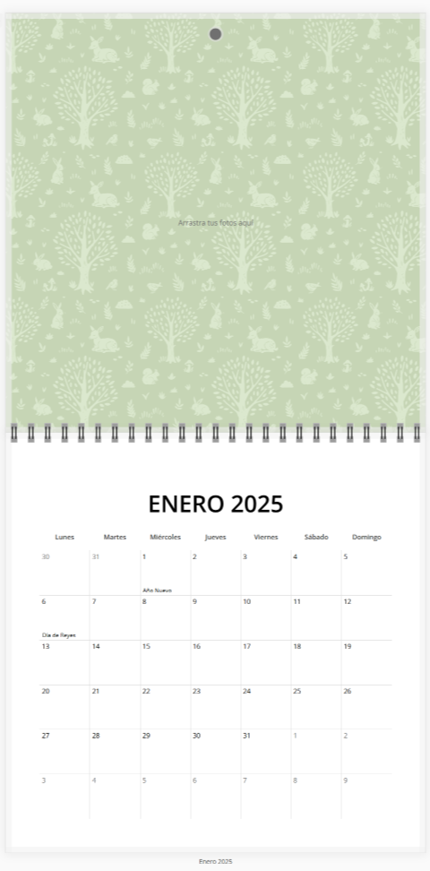 Ejemplo Calendario Enero 2025