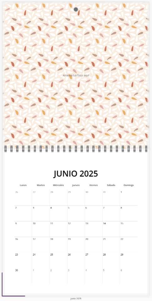 Ejemplo calendario junio